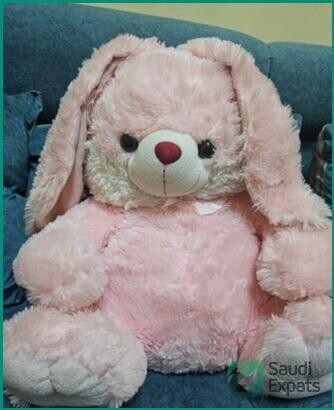 soft-and-singing-toys-for-sale-exit-sale-big-2