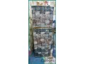 ikea-hardwood-family-bed-lg-fridge-sar-550-each-small-4