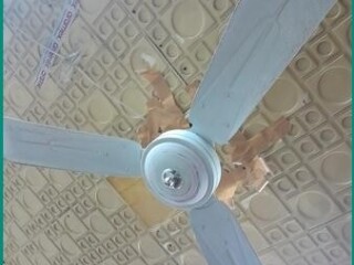 affordable-fans-for-sale-in-riyadh-2-pieces-only-sar-100