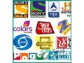 hindustan-service-for-indian-pakistani-channels-azizia-small-1