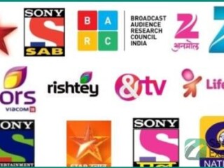 hindustan-service-for-indian-pakistani-channels-azizia