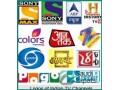 affordable-smart-tv-packages-for-indian-pakistani-channels-in-2023-small-2