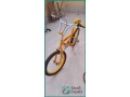 affordable-orange-pedal-brake-bicycle-for-ages-10-13-small-3