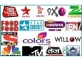 affordable-iptv-subscription-stream-global-channels-in-4k-small-1