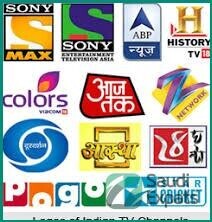 affordable-iptv-services-for-indian-and-pakistani-channels-in-yanbu-big-0