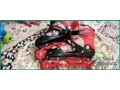brand-new-skating-shoes-and-hoverboard-for-sale-in-riyadh-small-1