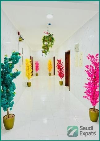 fully-furnished-2bhk-family-flat-in-jubail-big-1