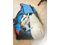 cricket-kit-for-sale-in-riyadh-complete-set-at-sar-900-small-0
