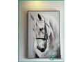 elegant-3-horses-framed-wall-art-for-sale-in-jeddah-small-1