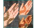 homemade-fresh-mehendi-cones-perfect-stain-guaranteed-small-2