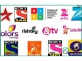 2025-desi-iptv-package-for-smart-tv-mobile-small-3