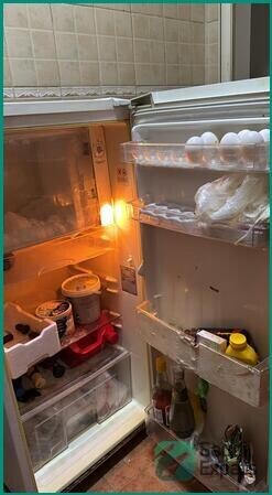 samsung-lg-fridges-6kg-dora-washing-machine-budgies-with-cage-in-khobar-big-1