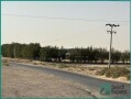 prime-opportunity-25000-sq-m-open-land-for-sharing-in-jubail-small-1