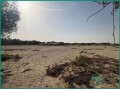 prime-opportunity-25000-sq-m-open-land-for-sharing-in-jubail-small-2