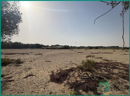 prime-opportunity-25000-sq-m-open-land-for-sharing-in-jubail-big-2