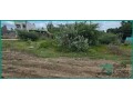 plots-for-sale-in-ambur-pak-nagar-riyadh-small-3