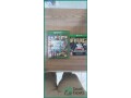 gta-5-cd-for-xbox-one-barely-used-dammam-small-1