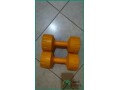 4kg-dumbbells-for-sale-in-riyadh-excellent-condition-small-0