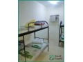 spacious-40-rooms-for-rent-in-abqaiq-multiple-options-available-small-0