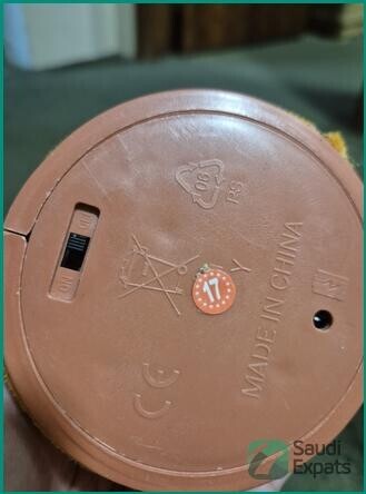 dancing-cactus-and-musical-bird-cage-for-sale-in-jubail-big-1