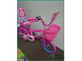 childrens-bicycle-like-new-riyadh-small-1