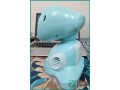 miko-3-ai-powered-smart-robot-for-kids-in-riyadh-small-4
