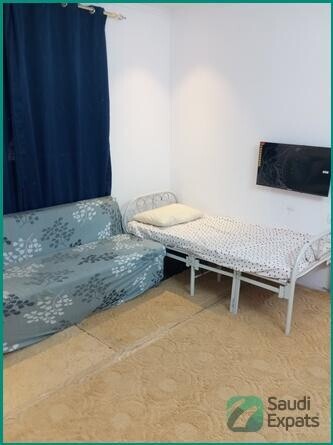 furnished-room-for-rent-in-sultanah-riyadh-available-from-september-big-1