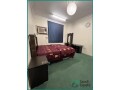 furnished-executive-bachelor-studio-in-jubail-downtown-small-1