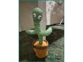 dancing-cactus-and-musical-bird-cage-for-sale-in-jubail-small-0