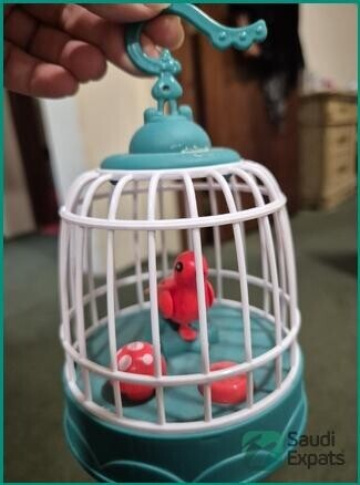 dancing-cactus-and-musical-bird-cage-for-sale-in-jubail-big-4