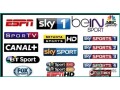 iptv-subscription-with-10000-channels-abha-small-4