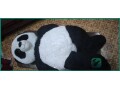 large-panda-teddy-bear-pillow-for-sale-in-dammam-sar-50-small-2