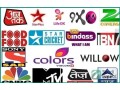 affordable-iptv-service-10000-channels-available-in-thadiq-small-1