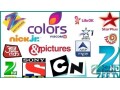 sar-20-iptv-subscription-watch-global-channels-without-dish-small-3