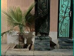 driver-room-available-in-villa-al-malaz-sar-8000