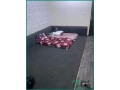 furnished-hall-available-for-single-executive-in-riyadh-small-2